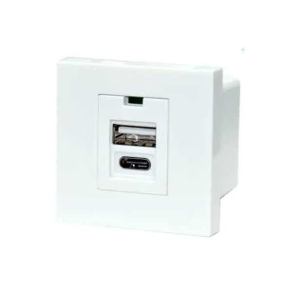 Dual Port TypeA+C USB-opladerstikmodul